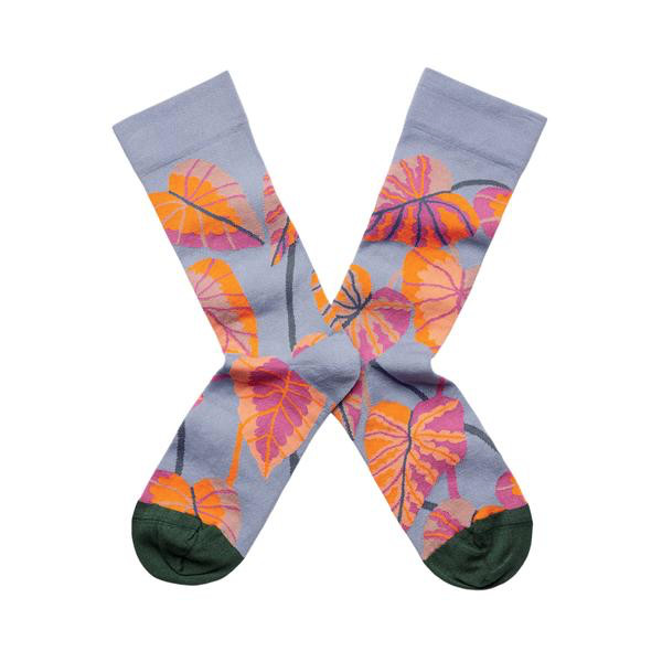 谁说袜子很无趣？BonneMaison，每一双袜子都存在强烈的故事感！