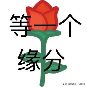 100万预算，考虑优质初中挂户，选择哪？