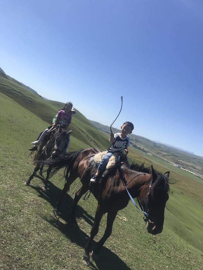 出游大美新疆第十四天,郑州周边2-3天短途旅游亲子11月