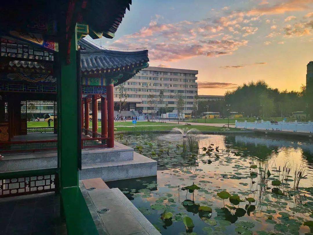 搞笑大学学校名称,哈尔滨各高校特点搞笑版