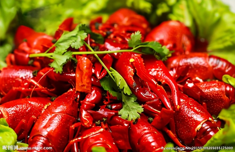 最新龙虾培训,龙虾培训哪里学比较好