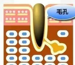 毛孔粗大原因及如何改善,毛孔粗大爱出油是什么原因