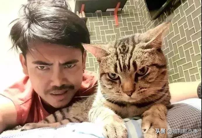 养了5年的猫居然让我丢掉,养了五年的猫很想把它扔了