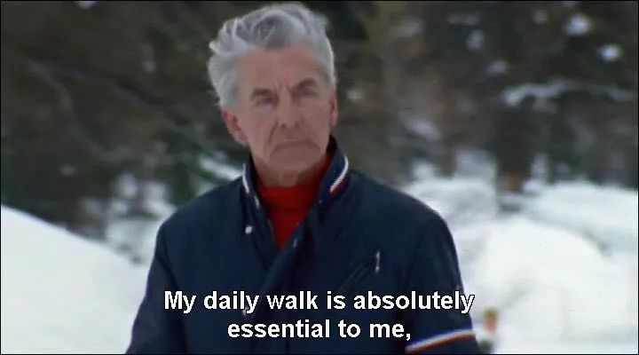 卡拉扬指挥升华之夜,指挥家卡拉扬指挥风格