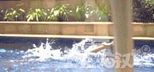 爆笑GIF趣图：美女，这射的是丘比特之箭吧