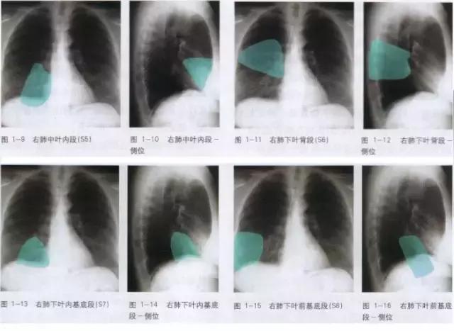休闲小白鞋夏,献血小板相当于献血多少