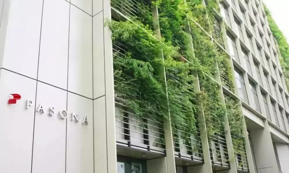 办公室里也能开挖掘机,办公室可以种葡萄