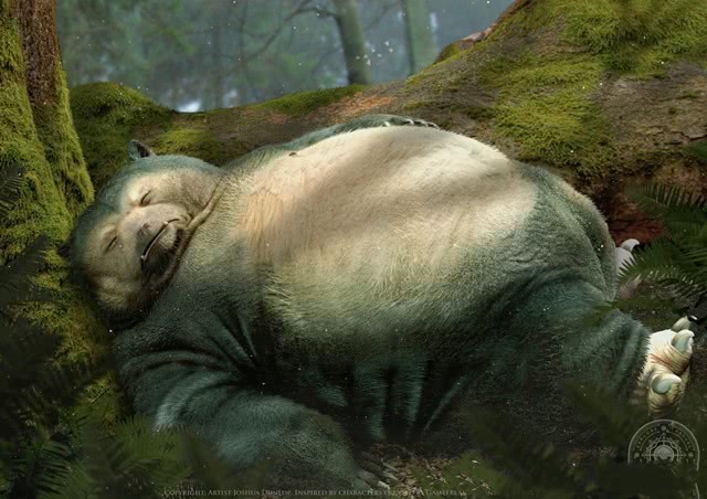 神奇宝贝3ds有哪些,神奇宝贝3d原版视频