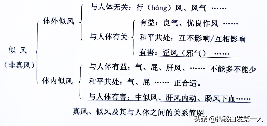 学医从入门到转行,学医从小学起