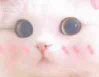 素万乳胶枕真假鉴别,鉴别乳胶枕真假的方法