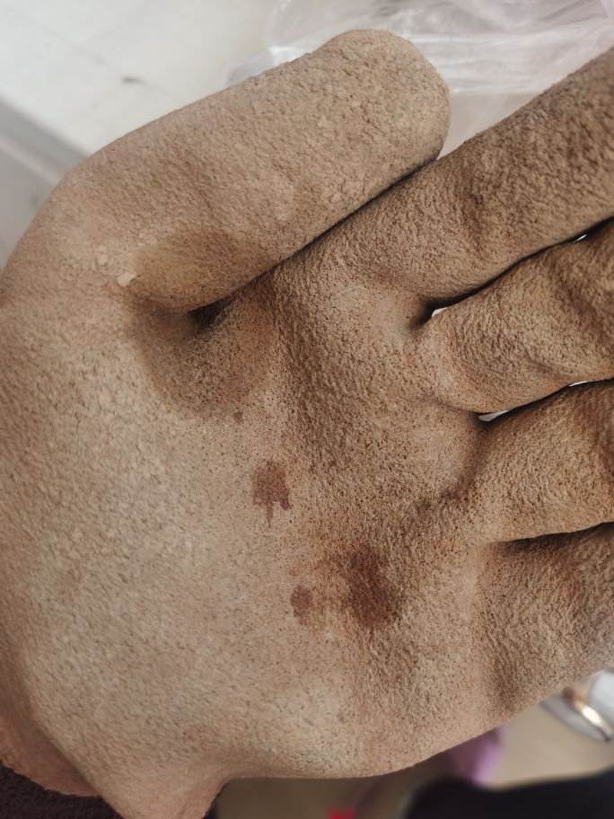 仓鼠的孩子为什么刚生出来就死了,仓鼠昨天好好的今天死了怎么办