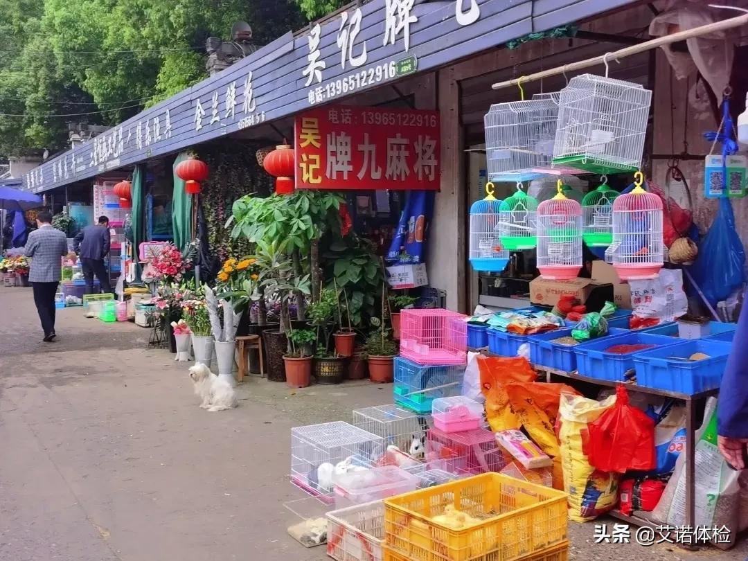 住在明光路的合肥人,太太太幸福了