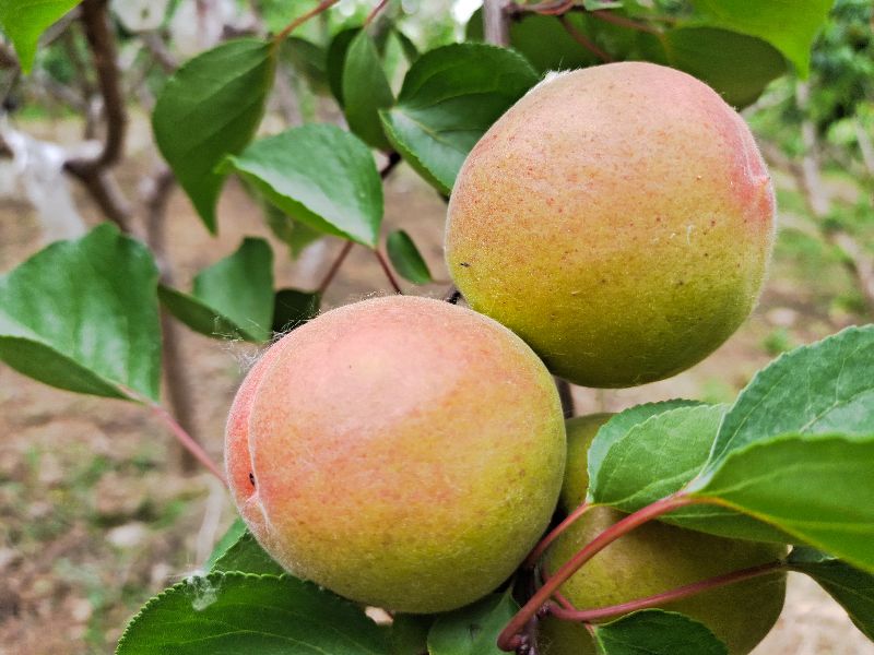 读易经感悟300字,阅读易经基础入门