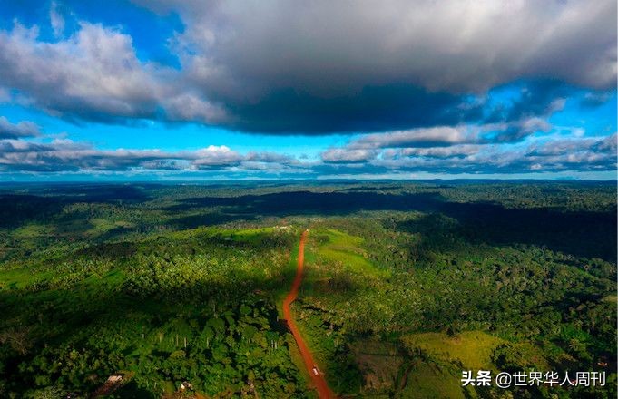 亚马逊雨林救动物,地球之肺亚马逊雨林