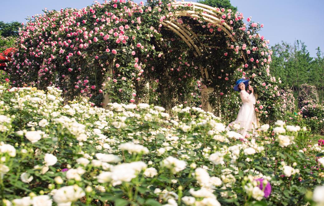 周边有什么可逛的地方吗,4月适合去哪儿旅游攻略