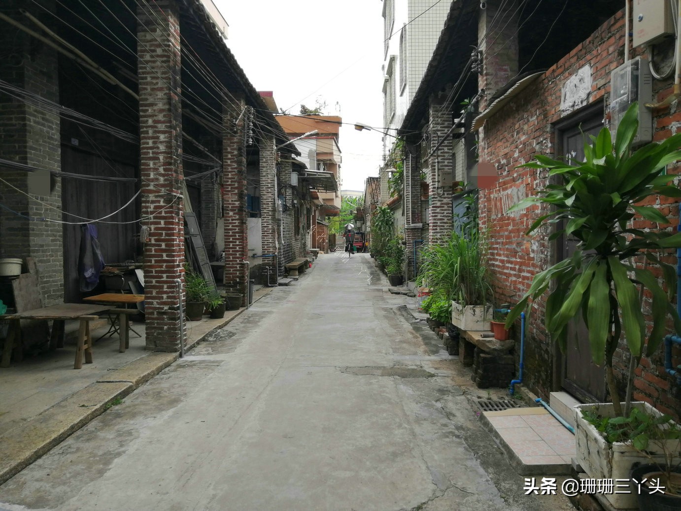 广州“最后”的鱼虾交易墟市，在城东10里外的古村内，闲置约30年