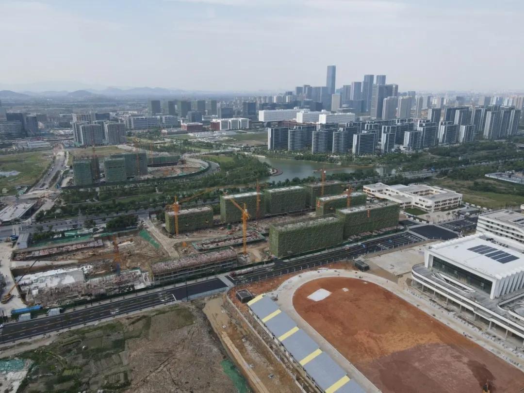 热情耗尽？突然领证的“超级红盘”天空、蒲荷，首日登记平淡