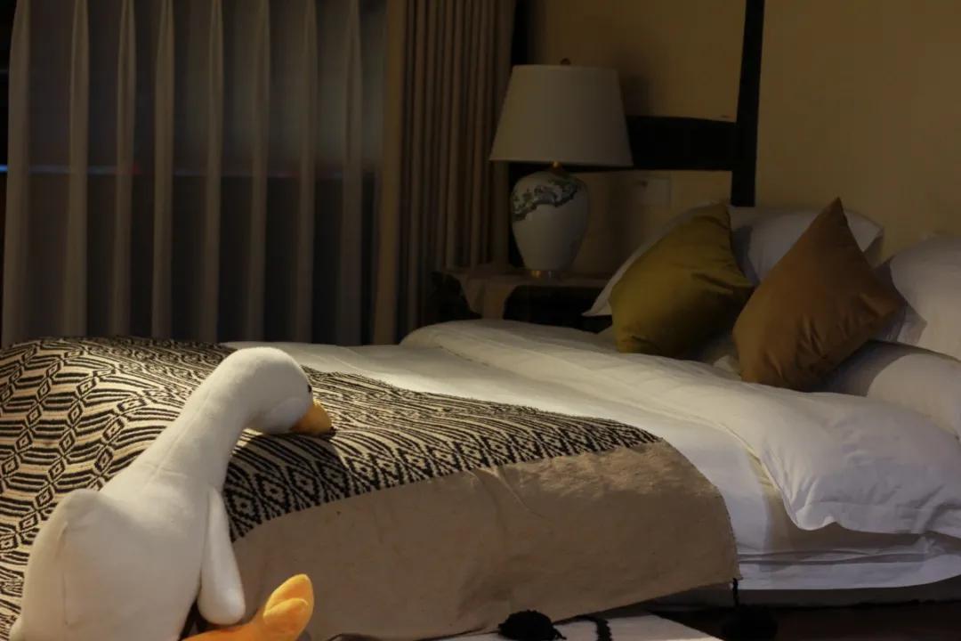 遇见阆中原声,遇见阆中的作品