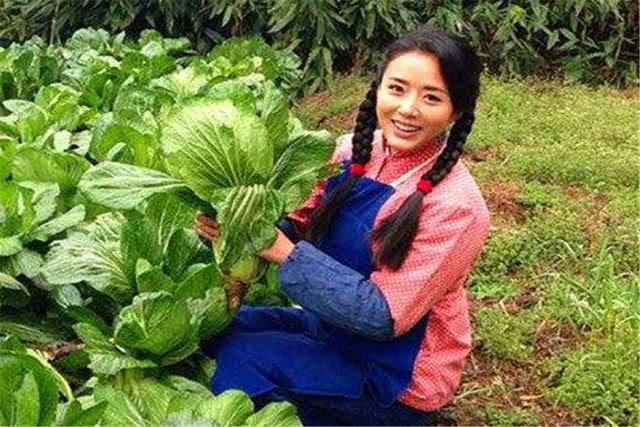 民间有句俗语头顶三尺,农村老话额头低怎么说