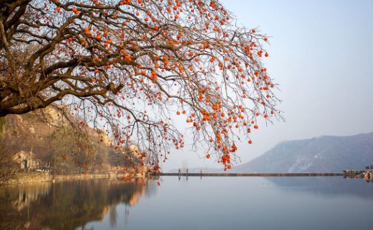 初冬最美诗词赏析,八首冬至诗词让你邂逅最美冬天
