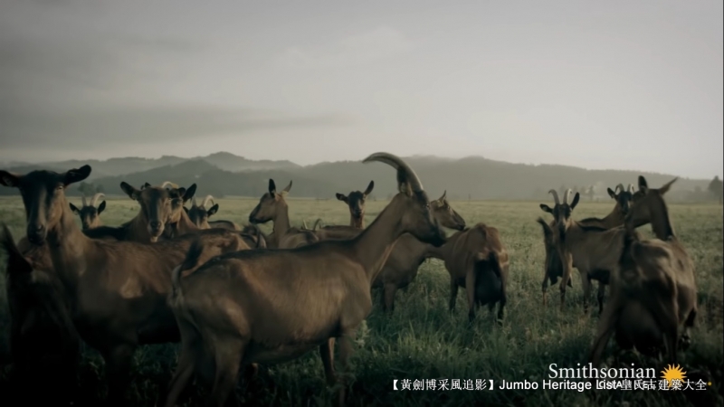 第4365回：乌鲁克苏美人文明，乌尔城邦遗址尘封