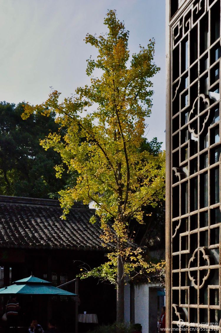 无锡有几个古镇免费景点排名,无锡古镇旅游景点排名前十