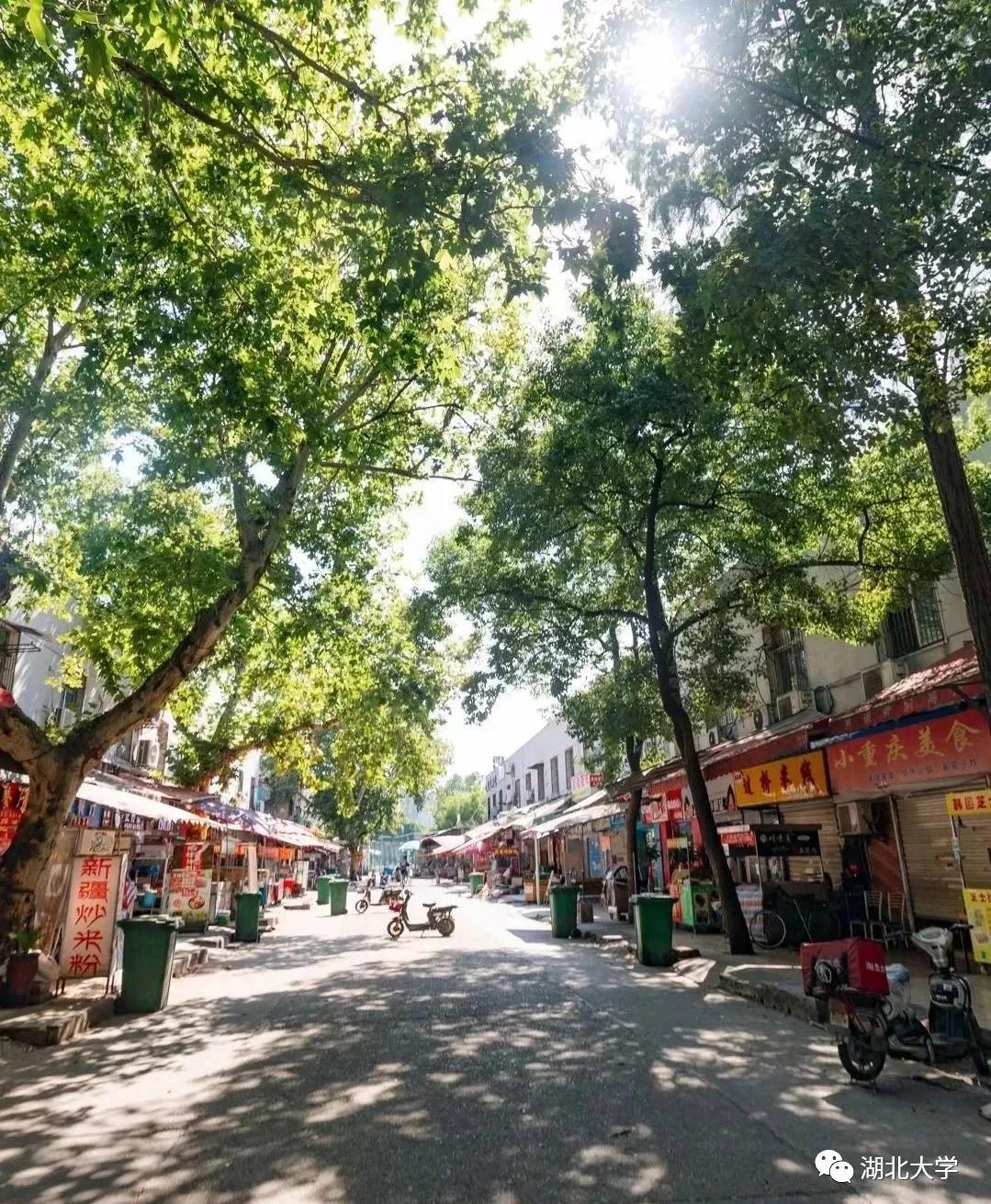 来,让我告诉你:为什么要上湖北大学?