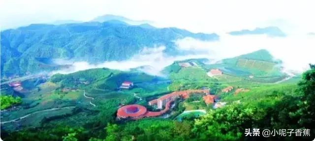 回到梅州你后悔了吗,你回梅州了吗