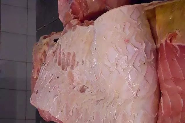 世界顶级淡水鱼大全,世界上顶级鱼类大全