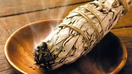 驱蚊大作战项目过程,夏季驱蚊大全