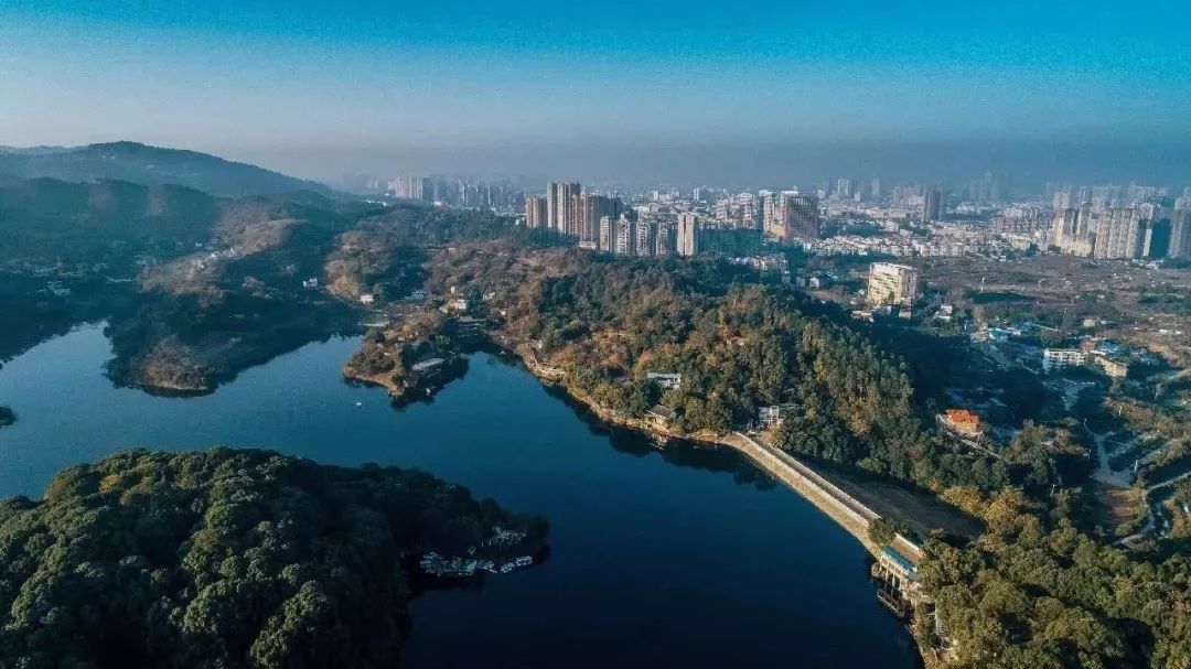 龙泉驿区的发展规划,龙泉驿区庆祝建党100周年活动