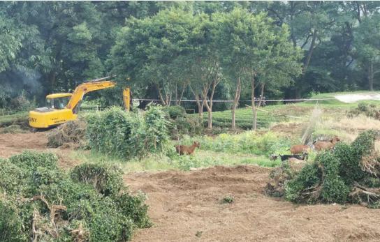 福建宁德黄建龙,宁德黄建龙