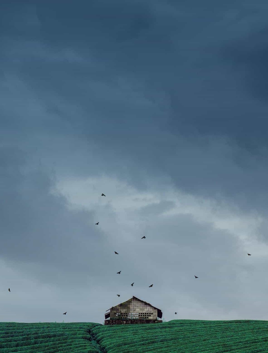 如何提高儿童的语言表达力,如何提高唱歌情感表达力