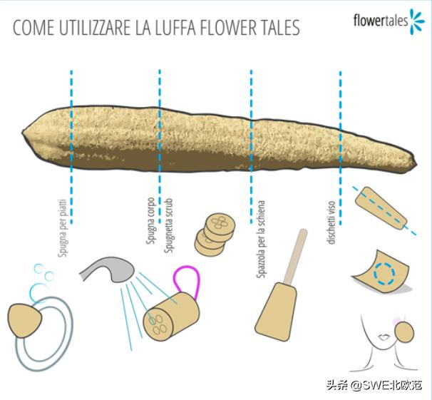 用棉质洗碗布好吗,洗碗布用久了