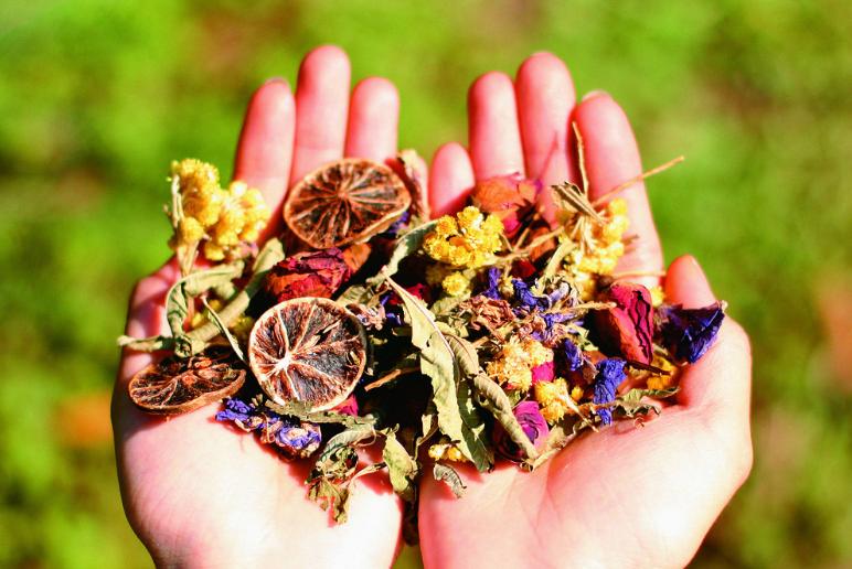 中医误诊有责任吗,中医无证治病怎样才算合法