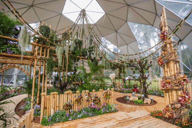 未来10天预警,深圳最最最最火的地方在这里,美女都赶来打卡