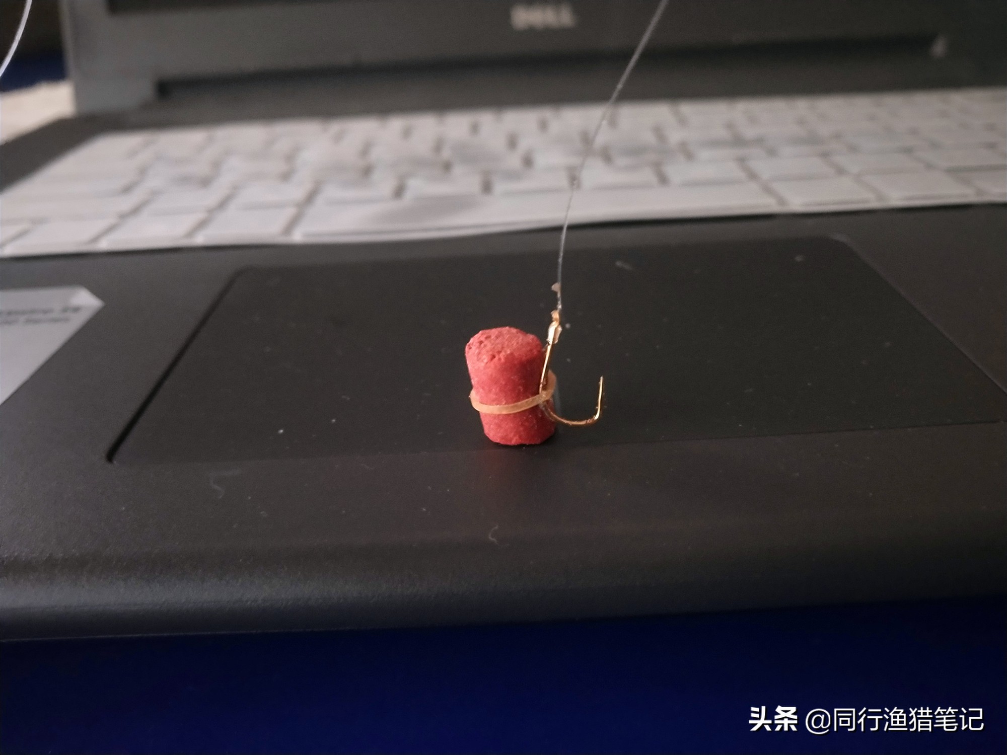 黑坑鱼饵最佳配方,黑坑皮筋颗粒钓滑口鲤鱼