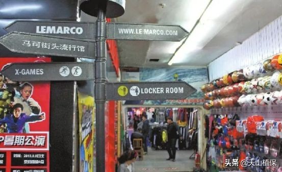 迪丽热巴古力娜扎对比视频,迪丽热巴与娜扎