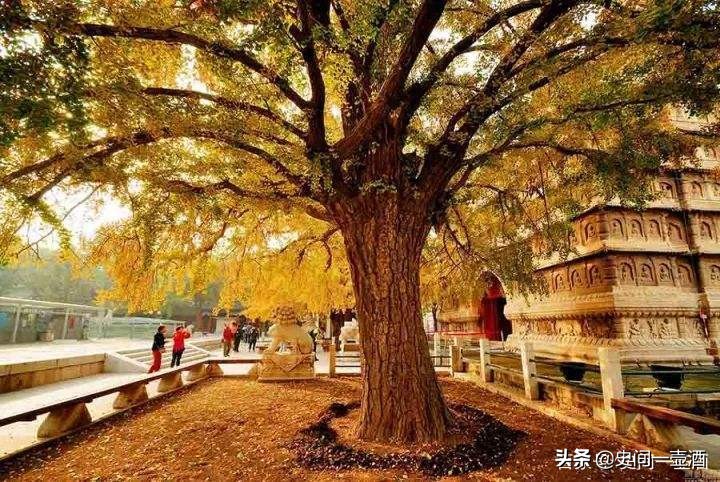 孙权是江苏人还是浙江人,三国东吴孙权出生地