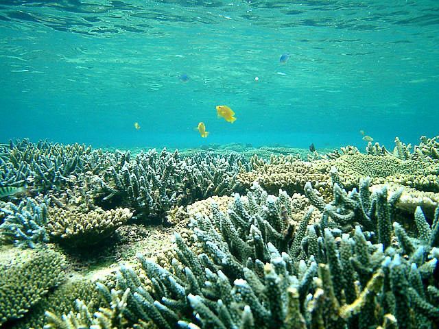 冲绳石垣岛旅游攻略,日本最美海滩冲绳