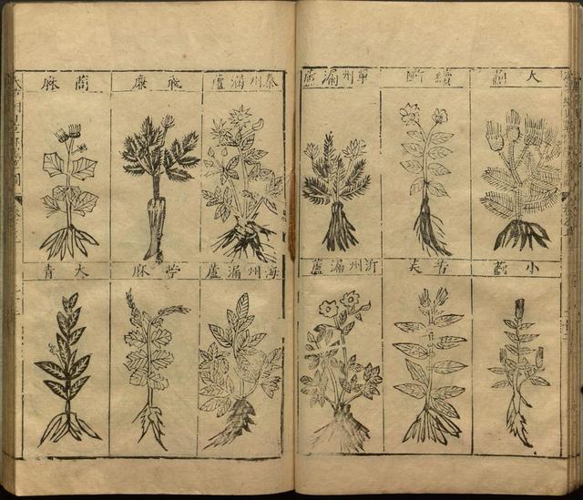 李时珍与本草纲目ppt课件,神农本草经正版李时珍书籍