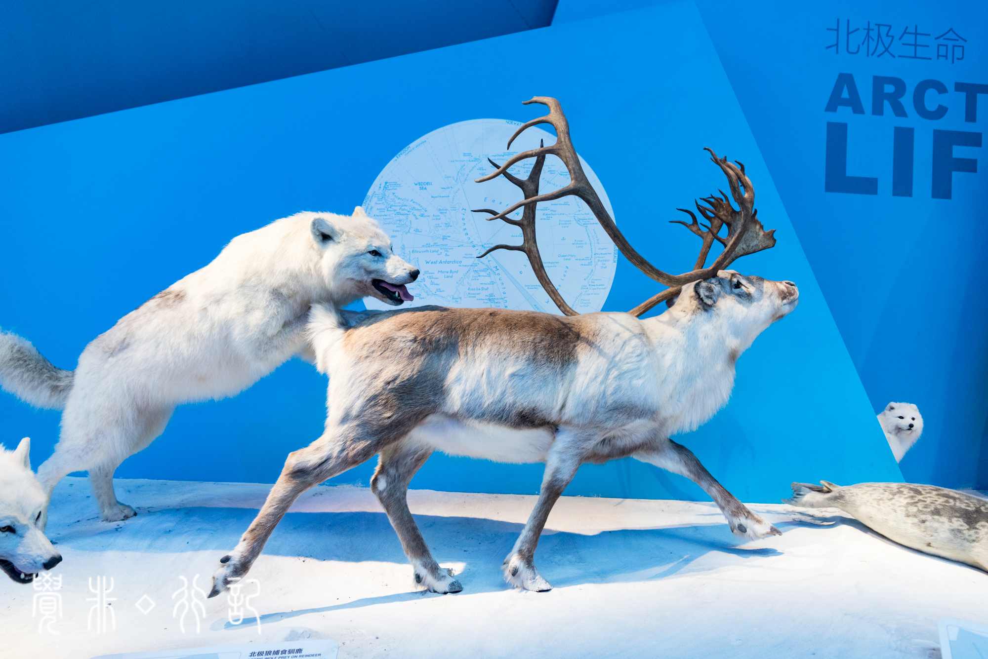 国家海洋博物馆又被称为海上故宫,天津国家海洋博物馆预约电话