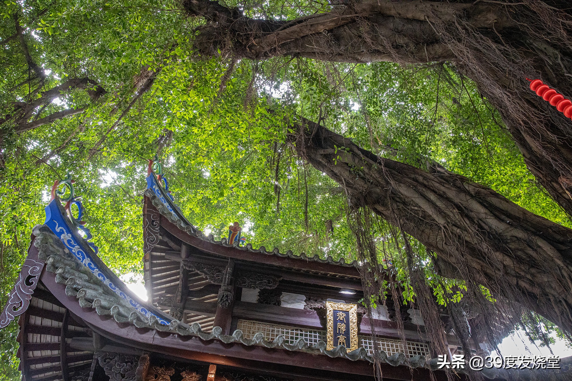 佳能大三元rf24-70,佳能大三元rf24