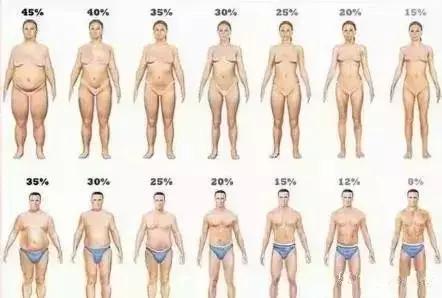 青春期子宫萎缩,女生三个月不吃晚饭真的会瘦吗