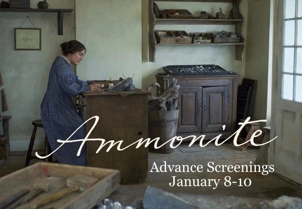 《菊石》的后劲：沉浸体验式的阅片过程，前所未有