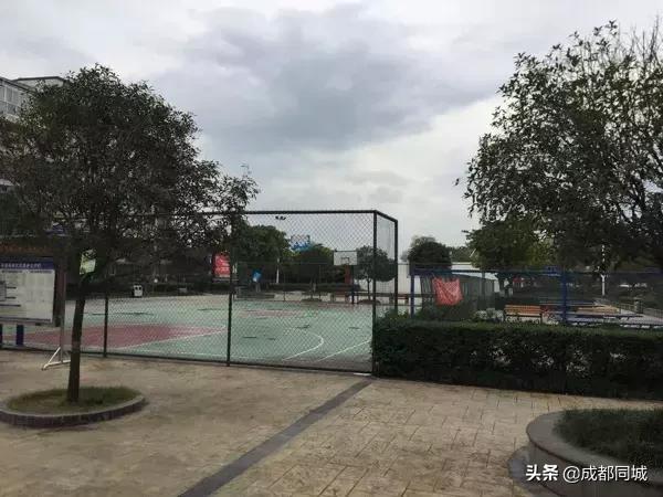 成都公共球场,成都公共体育场馆