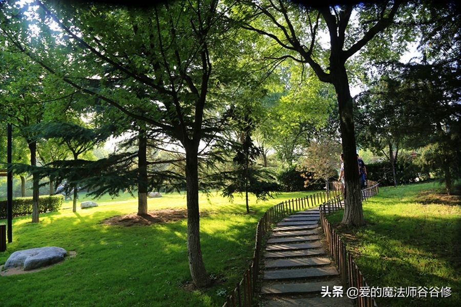 网络成瘾的预防与戒除,网络成瘾其实是一种精神疾病