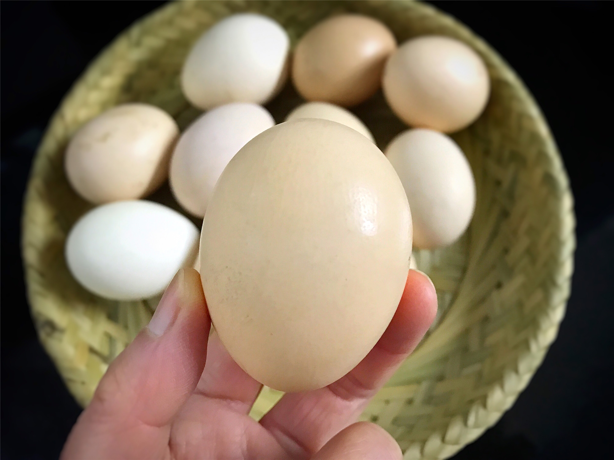 鸡蛋是放在冰箱保存还是常温保存,鸡蛋清洗后放冰箱可以保存多久