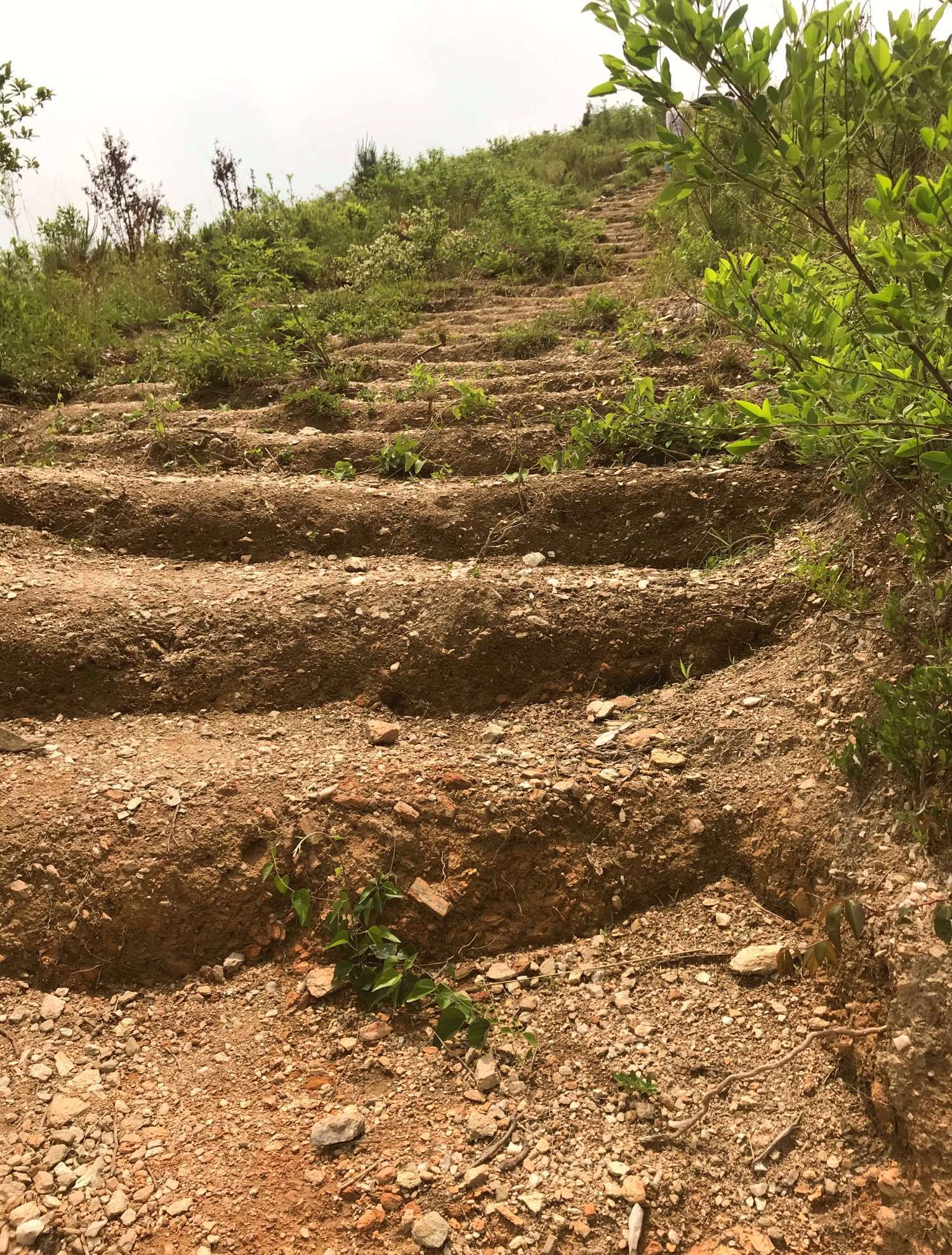 武汉龙王尖徒步攻略,武汉龙王尖视频大全