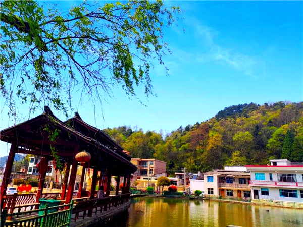 有香茶、有田园、有文化，乌当新场有块“养心”之地